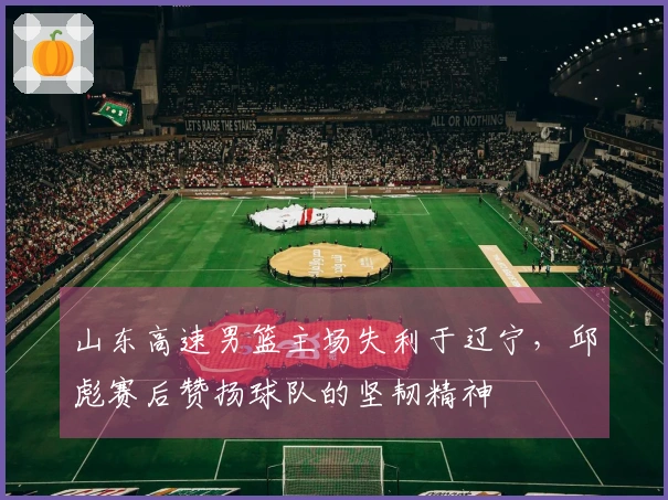 山东高速男篮主场失利于辽宁，邱彪赛后赞扬球队的坚韧精神