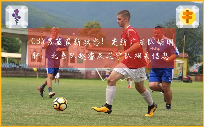 CBA男篮最新动态！更新广东队胡明轩、北京队赵睿及辽宁队相关信息