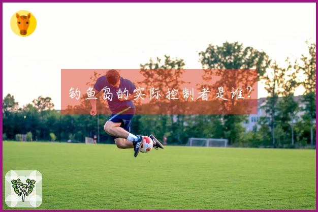 钓鱼岛的实际控制者是谁？